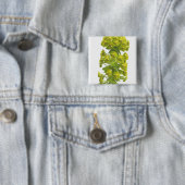 Badge Carré 5 Cm Euphorbe (En situation)