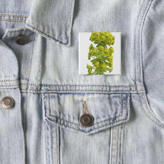 Badge Carré 5 Cm Euphorbe (En situation)