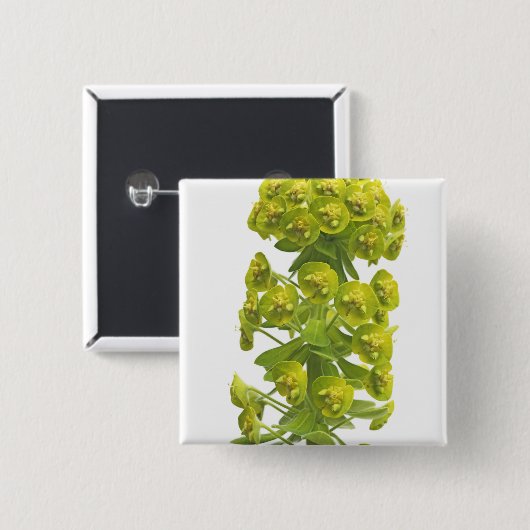 Badge Carré 5 Cm Euphorbe (Devant & derrière)