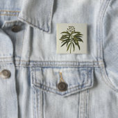 Badge Carré 5 Cm Euphorbe Mellifera (En situation)