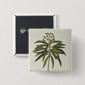 Badge Carré 5 Cm Euphorbe Mellifera (Devant & derrière)