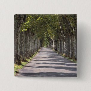 Badge Carré 5 Cm Europe, France, Cereste. Des arbres bordent cette