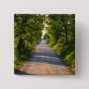 Badge Carré 5 Cm Europe, Italie, Toscane, route bordée d'arbres