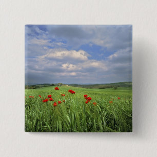 Badge Carré 5 Cm Europe, Toscane, Poggiolo. Voie rouge