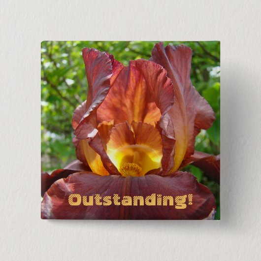 Badge Carré 5 Cm Exceptionnel! bouton Fleurs d'Iris Professeurs d'é (Devant)