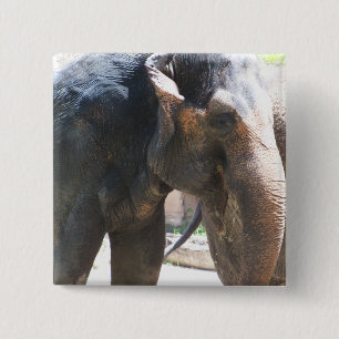Badge Carré 5 Cm Face d'éléphant