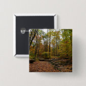 Badge Carré 5 Cm Fall Creek dans le parc national Laurel Hill State (Devant & derrière)