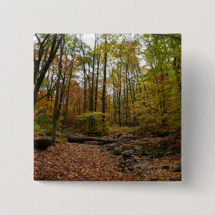 Badge Carré 5 Cm Fall Creek dans le parc national Laurel Hill State