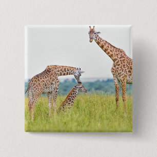 Badge Carré 5 Cm Famille de girafe des images de Getty