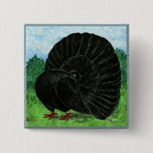 Badge Carré 5 Cm Fantail Pigeon Black