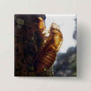 Badge Carré 5 Cm Fantôme de Shell