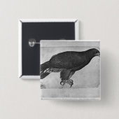 Badge Carré 5 Cm Faucon, le de l'album de Vallardi (Devant & derrière)