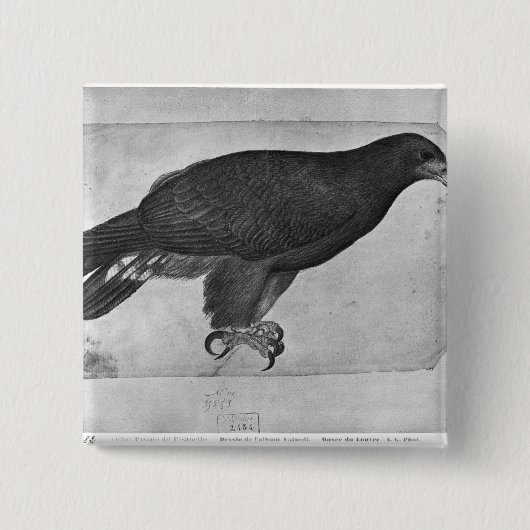 Badge Carré 5 Cm Faucon, le de l'album de Vallardi (Devant)