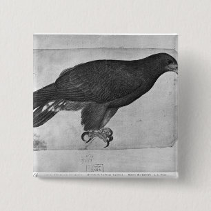 Badge Carré 5 Cm Faucon, le de l'album de Vallardi