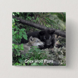 Badge Carré 5 Cm Faune Loup gris conception animal amoureux