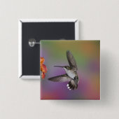 Badge Carré 5 Cm Femme Ruby Throated Hummingbird en vol (Devant & derrière)