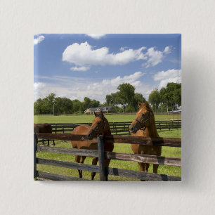 Badge Carré 5 Cm Ferme de chevaux pur-sang dans le comté de Marion,