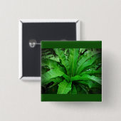 Badge Carré 5 Cm Ferne de nid d'oiseaux (Devant & derrière)