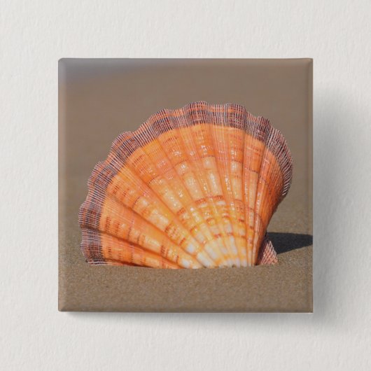Badge Carré 5 Cm Feston Shell| Crète, Grèce (Devant)