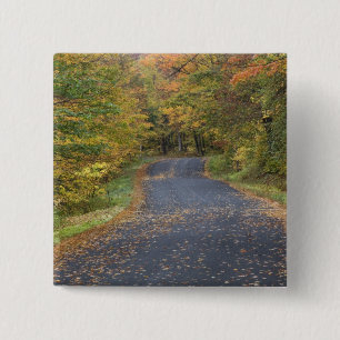 Badge Carré 5 Cm Feuillage d'automne au bord de la route, Vermont d