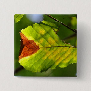 Badge Carré 5 Cm Feuille de chute verte