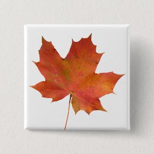 Badge Carré 5 Cm Feuille tombée 01