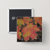 Badge Carré 5 Cm Feuilles d'automne (Devant & derrière)