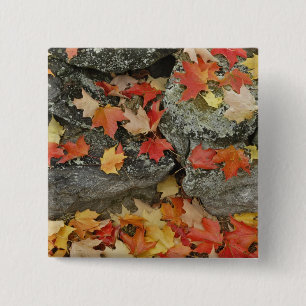 Badge Carré 5 Cm Feuilles d'automne sur mur de pierre, Minute Man