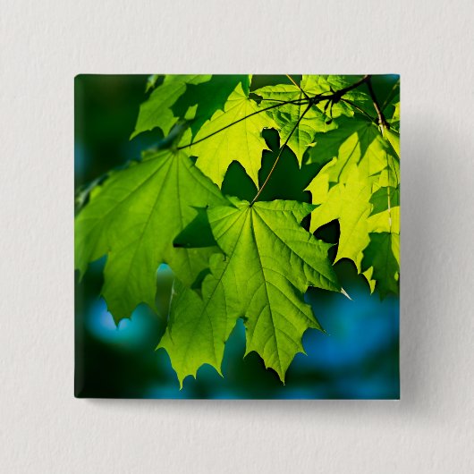 Badge Carré 5 Cm Feuilles d'érable vert frais (Devant)