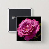 Badge Carré 5 Cm -Fin rose de visage d'ange (Devant & derrière)