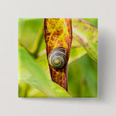 Badge Carré 5 Cm fixation calme (Devant)