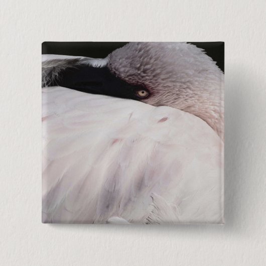 Badge Carré 5 Cm Flamant (Devant)