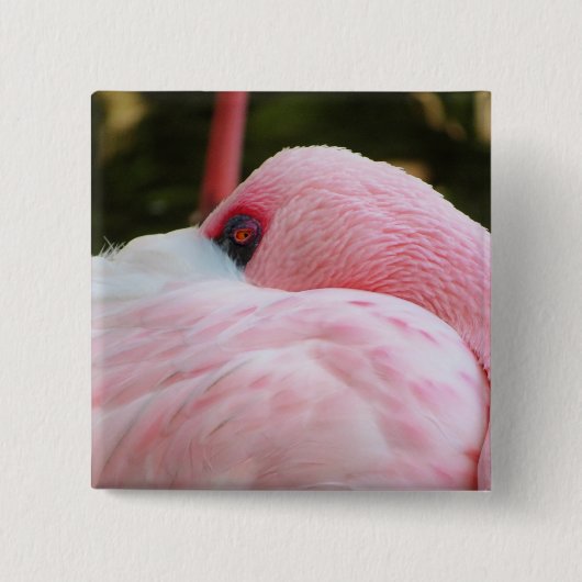 Badge Carré 5 Cm Flamant rose (Devant)