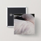 Badge Carré 5 Cm Flamant rose (Devant & derrière)