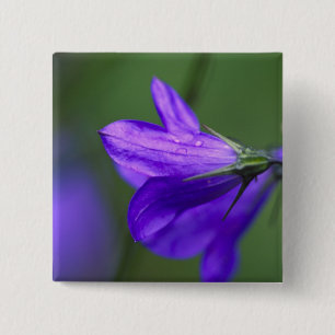Badge Carré 5 Cm Fleur de jacinthe dans l'Independence Pass en