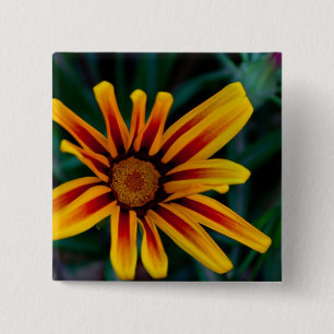 Badge Carré 5 Cm Fleur de trésor ensoleillée, photo botanique