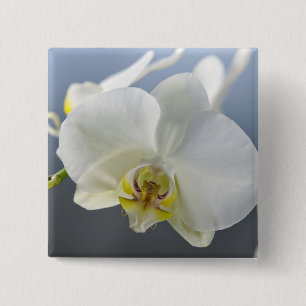 Badge Carré 5 Cm Fleur d'orchidée blanche