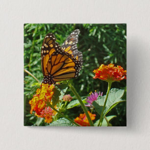 Badge Carré 5 Cm Fleur Orange Monarque Papillon Photo Nature