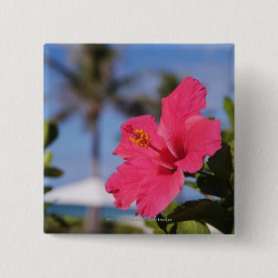 Badge Carré 5 Cm Fleur rose de ketmie
