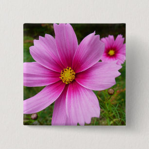 Badge Carré 5 Cm Fleur sauvage de fleurs Cosmos roses