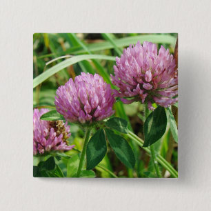 Badge Carré 5 Cm Fleur sauvage de trèfle rose - Trifolium pratense
