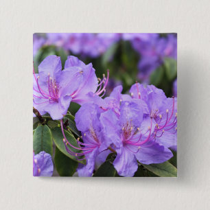 Badge Carré 5 Cm fleurs d'azalée violette 杜 花 鹃