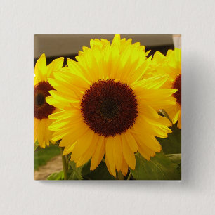 Badge Carré 5 Cm Fleurs de soleil