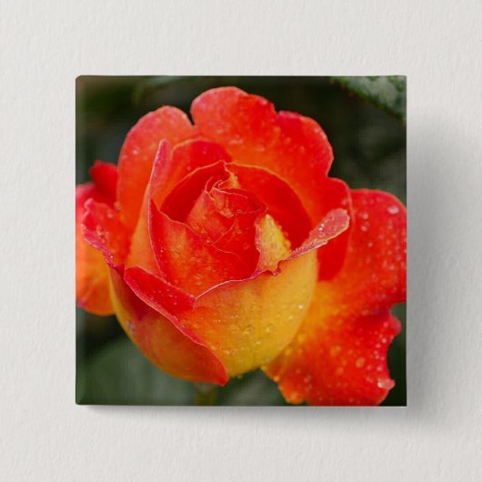 Badge Carré 5 Cm Floral Rose orange (Devant)