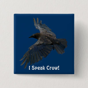 Badge Carré 5 Cm FLYING CROW Je Parle Crow ! L'art des oiseaux sauv