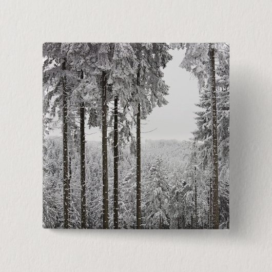 Badge Carré 5 Cm Forêt à feuillage persistant en hiver (Devant)