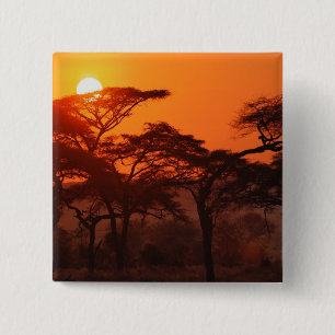 Badge Carré 5 Cm Forêt d'acacia en silhouette au coucher du soleil,