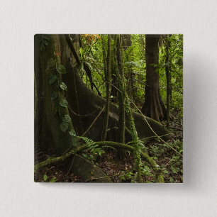 Badge Carré 5 Cm Forêt tropicale, rivière Mapari Nord Rupununi,