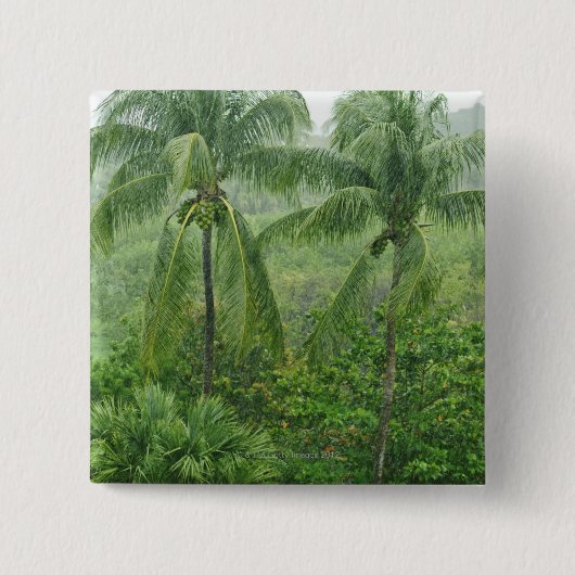 Badge Carré 5 Cm Forêt tropicale tropicale (Devant)