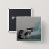 Badge Carré 5 Cm Formations d'icebergs (Devant & derrière)